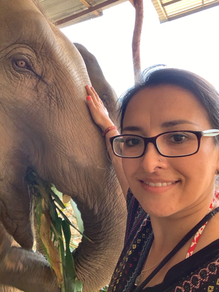 Mi amigo el elefante
