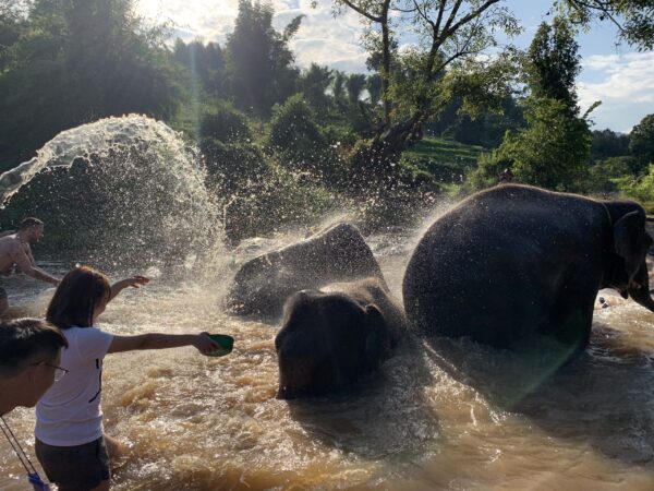 Jugando y bañándolos